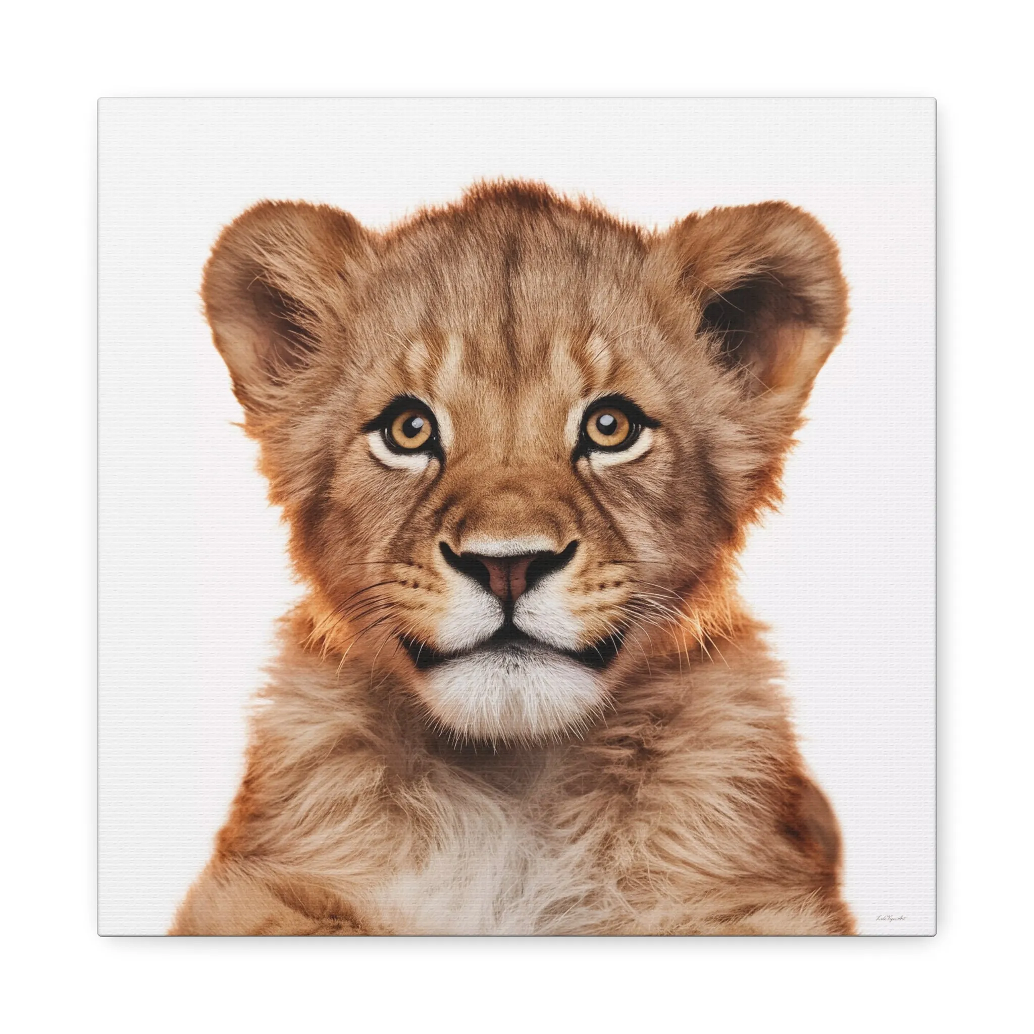 Canvas Print, Baby Lion Fine Art Photography, Stretched Matte Wall Art for Animal Lovers and Kids Room Decor, Nursery Safari Theme, Jungle