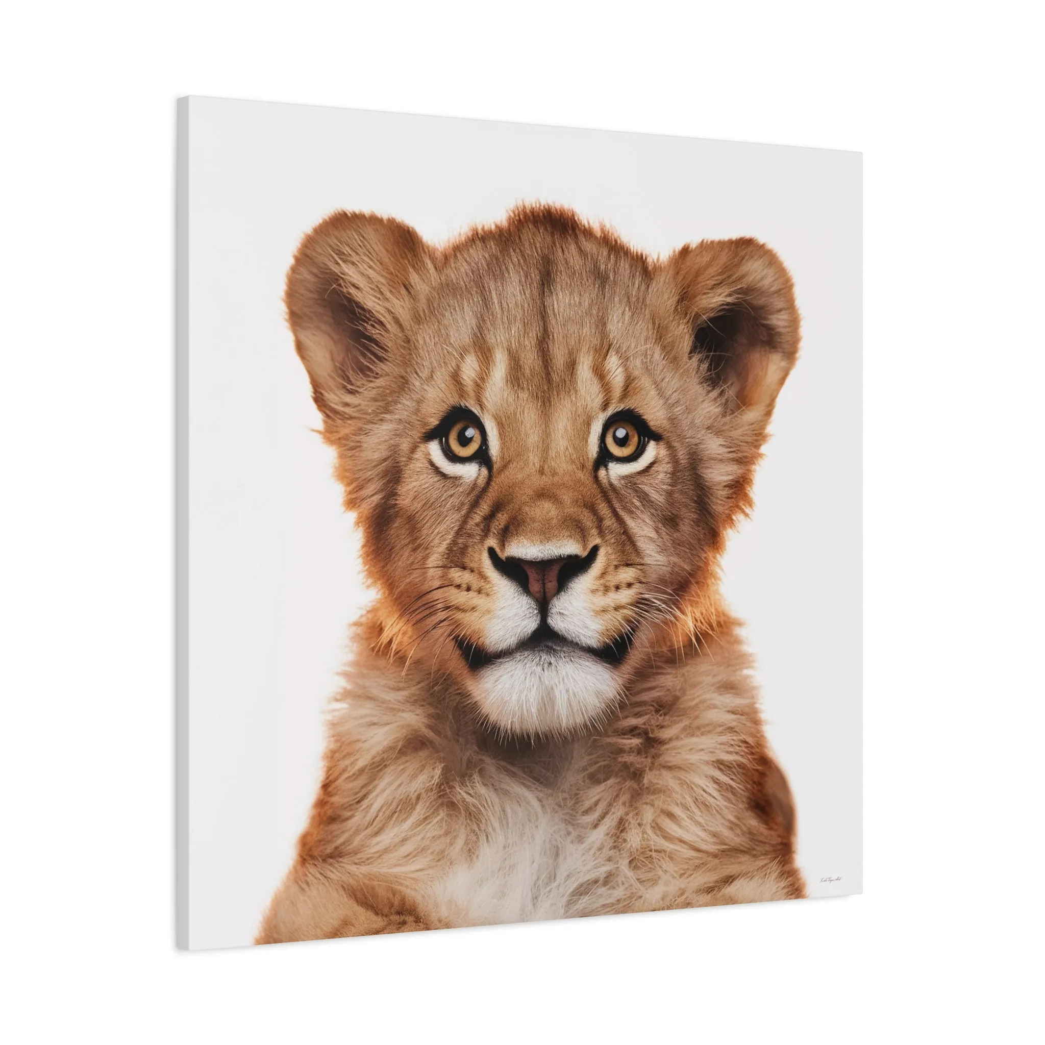 Canvas Print, Baby Lion Fine Art Photography, Stretched Matte Wall Art for Animal Lovers and Kids Room Decor, Nursery Safari Theme, Jungle