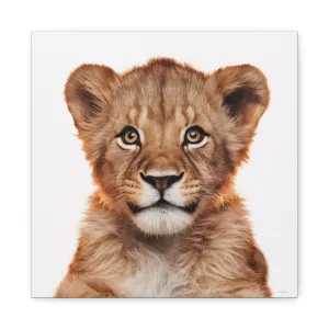 Canvas Print, Baby Lion Fine Art Photography, Stretched Matte Wall Art for Animal Lovers and Kids Room Decor, Nursery Safari Theme, Jungle