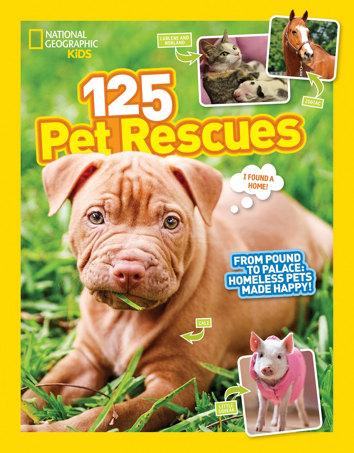 Children's Non-Fiction Book – 125 Pet Rescues From Pound to Palace | Unique Gifts, Gifts for Girls