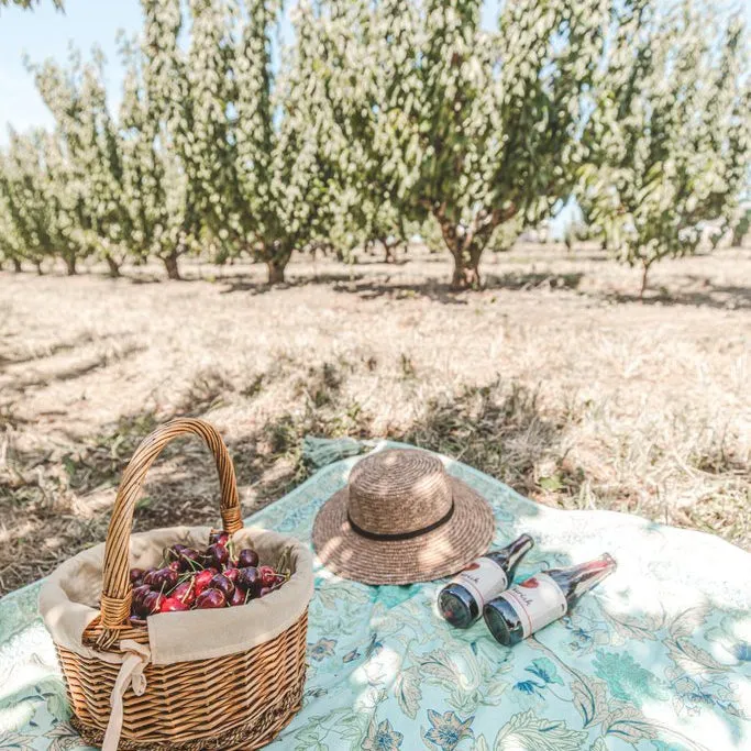 Crystal Forest Picnic Rug