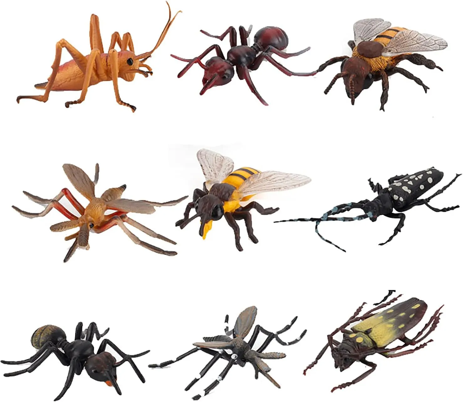FLORMOON Insect Toys 9pcs Realistic Animal Figures Action Model Science Project, Learning Educational Toys, Birthday Gift, Cake Topper for Kids