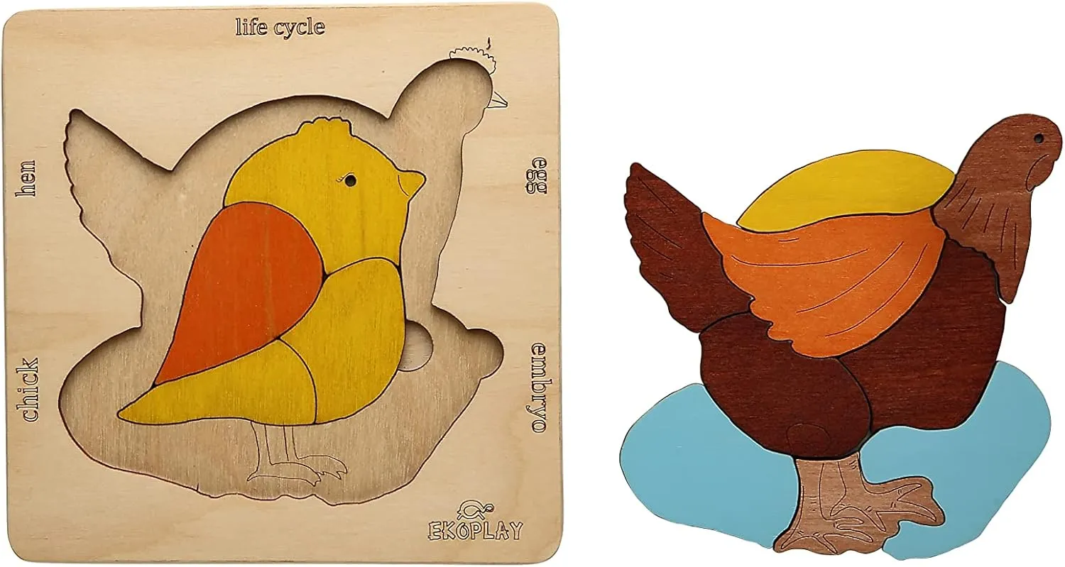 Life Cycle of A Chicken | 20 Piece Wooden Jigsaw Puzzle for Kids | for Preschool Kids, Learning Educational Toys Gifts for Boys & Girls 3  Years