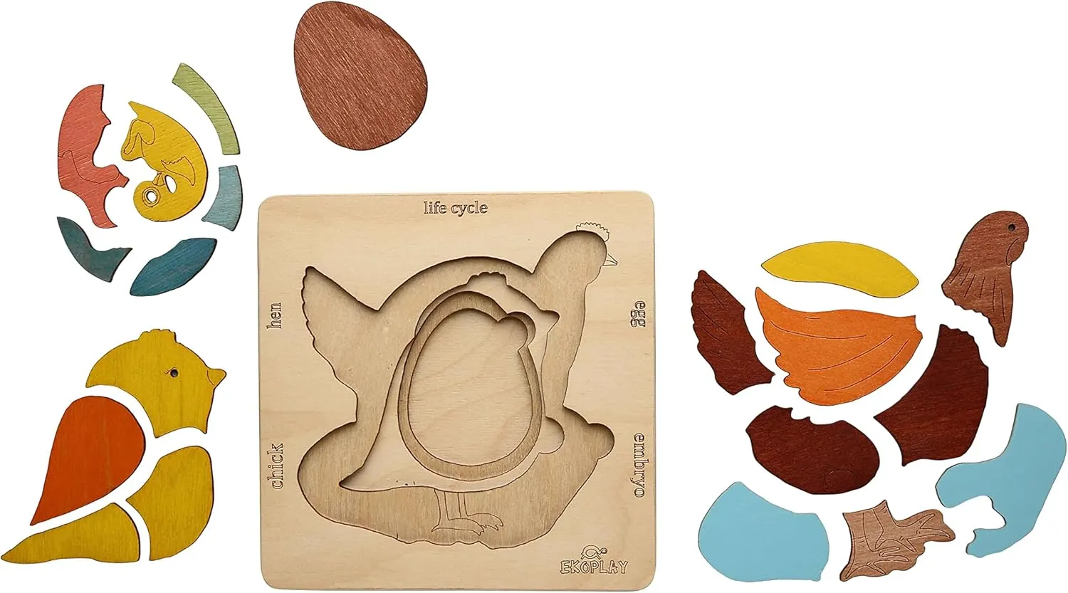 Life Cycle of A Chicken | 20 Piece Wooden Jigsaw Puzzle for Kids | for Preschool Kids, Learning Educational Toys Gifts for Boys & Girls 3  Years