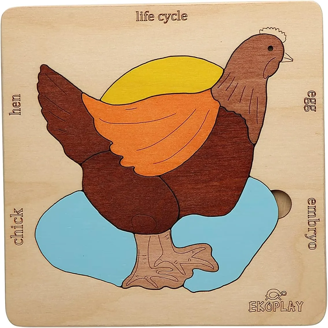 Life Cycle of A Chicken | 20 Piece Wooden Jigsaw Puzzle for Kids | for Preschool Kids, Learning Educational Toys Gifts for Boys & Girls 3  Years