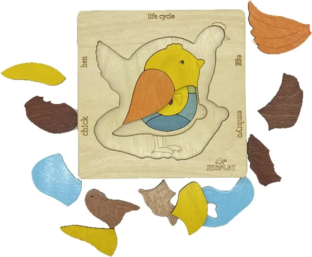 Life Cycle of A Chicken | 20 Piece Wooden Jigsaw Puzzle for Kids | for Preschool Kids, Learning Educational Toys Gifts for Boys & Girls 3  Years