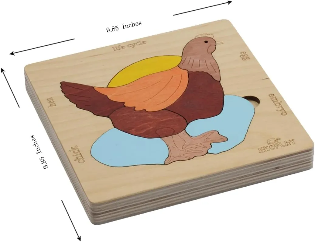 Life Cycle of A Chicken | 20 Piece Wooden Jigsaw Puzzle for Kids | for Preschool Kids, Learning Educational Toys Gifts for Boys & Girls 3  Years