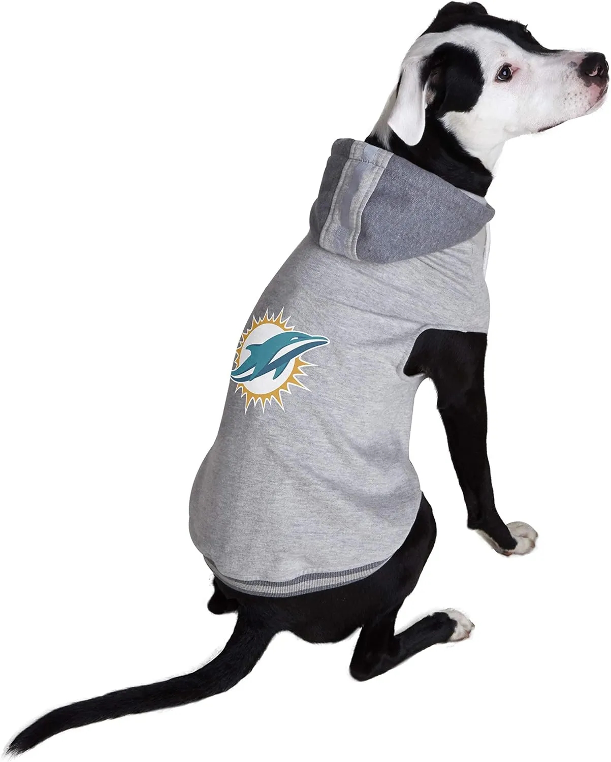 Littlearth NFL Unisex-Adult Sports-Themed Dog Apparel