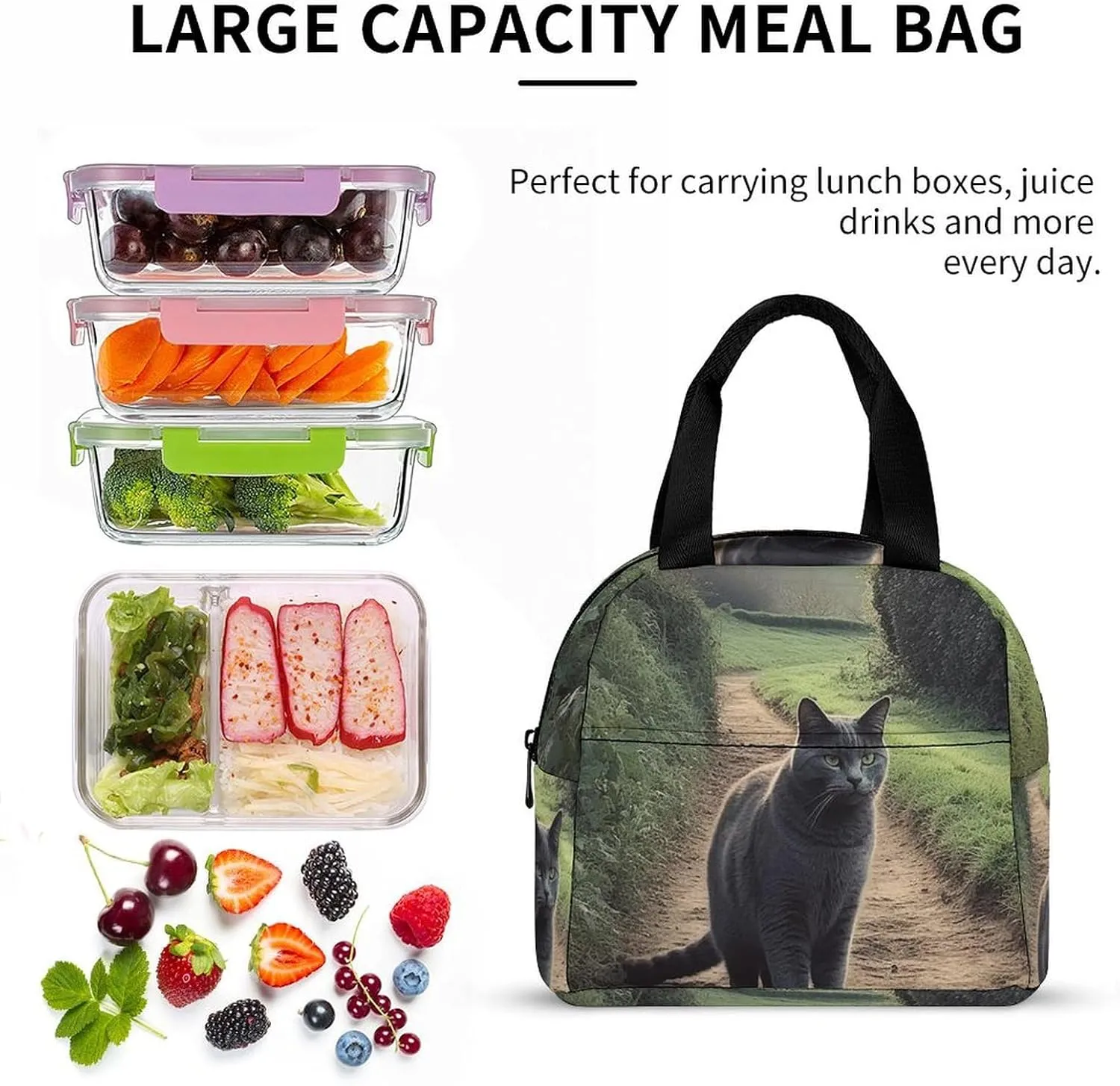 Lunch Bag for Women Men Portable Insulated Lunch Box Gray Cat Standing on Dirt Road LunchBox Reusable Tote Bags for Work Picnic