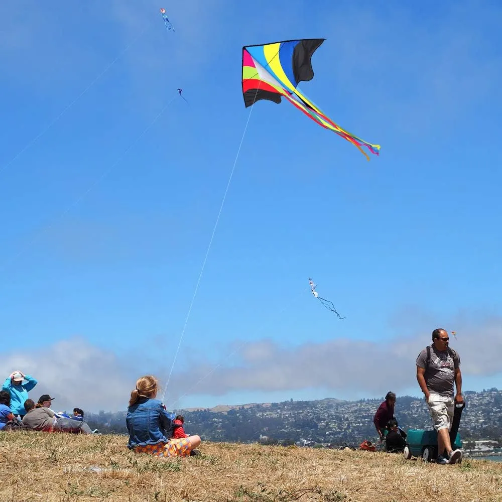 Mint's Colorful Life Delta Kite for Kids & Adults, Extremely Easy to Fly Kite, Best Kites for Beginner