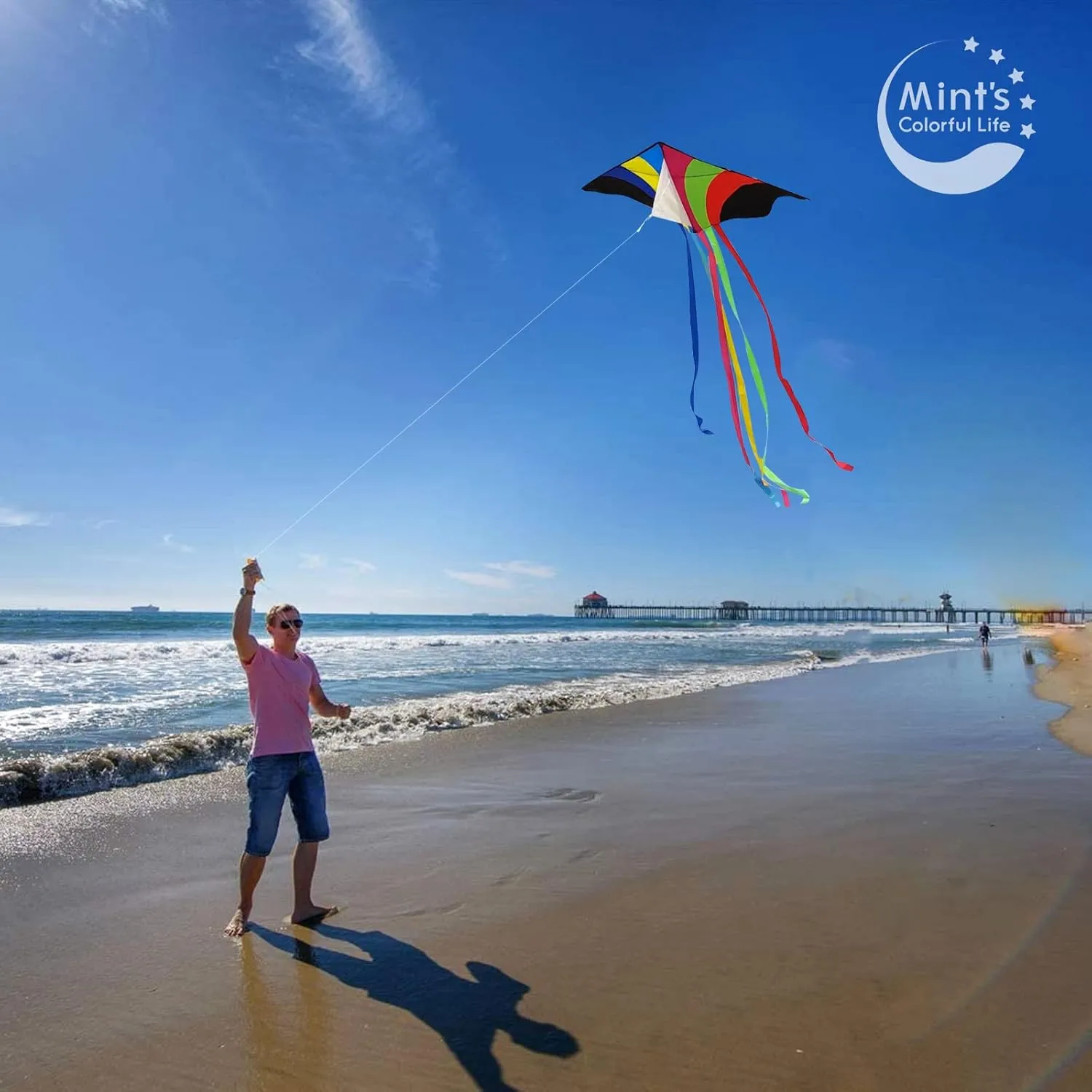 Mint's Colorful Life Delta Kite for Kids & Adults, Extremely Easy to Fly Kite, Best Kites for Beginner