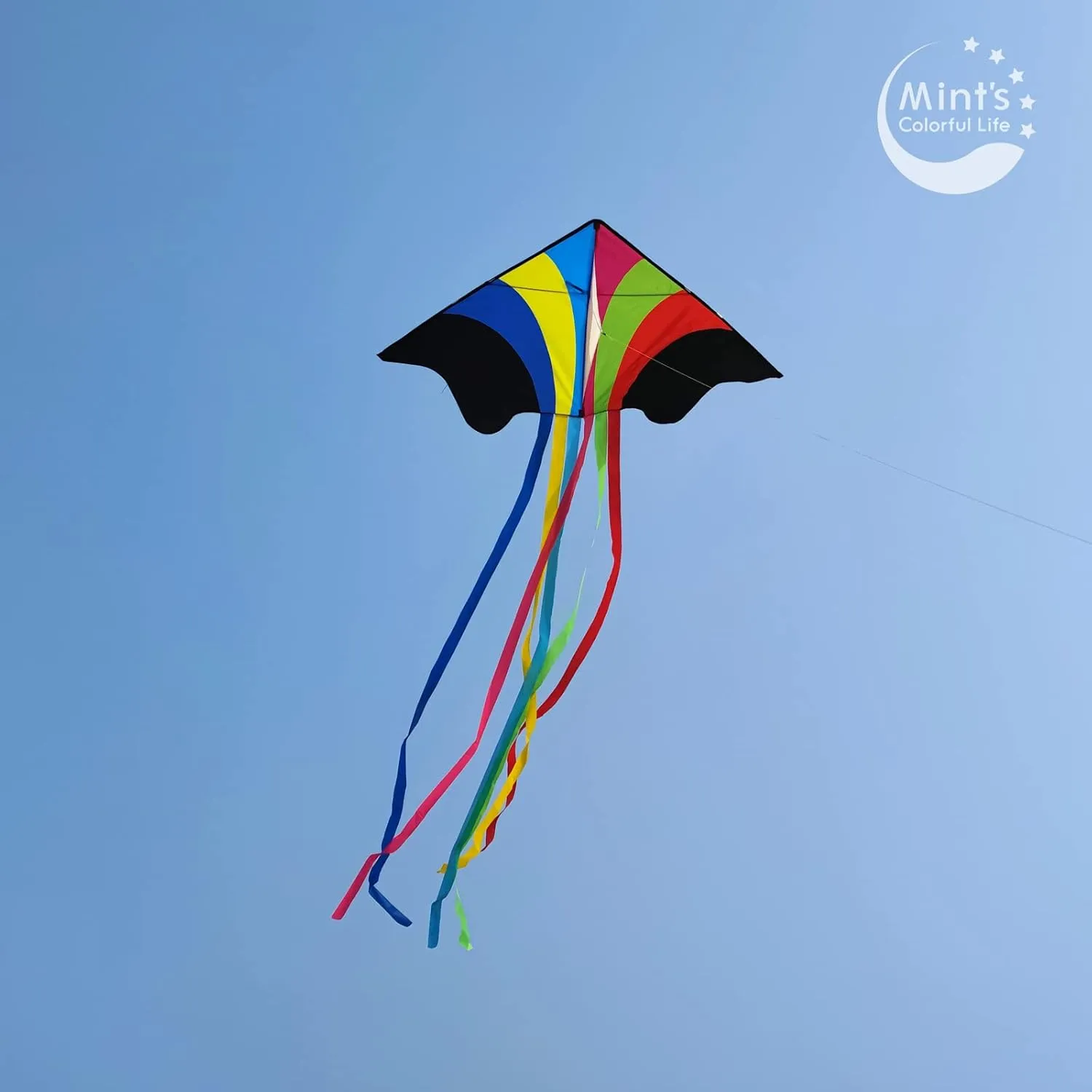 Mint's Colorful Life Delta Kite for Kids & Adults, Extremely Easy to Fly Kite, Best Kites for Beginner
