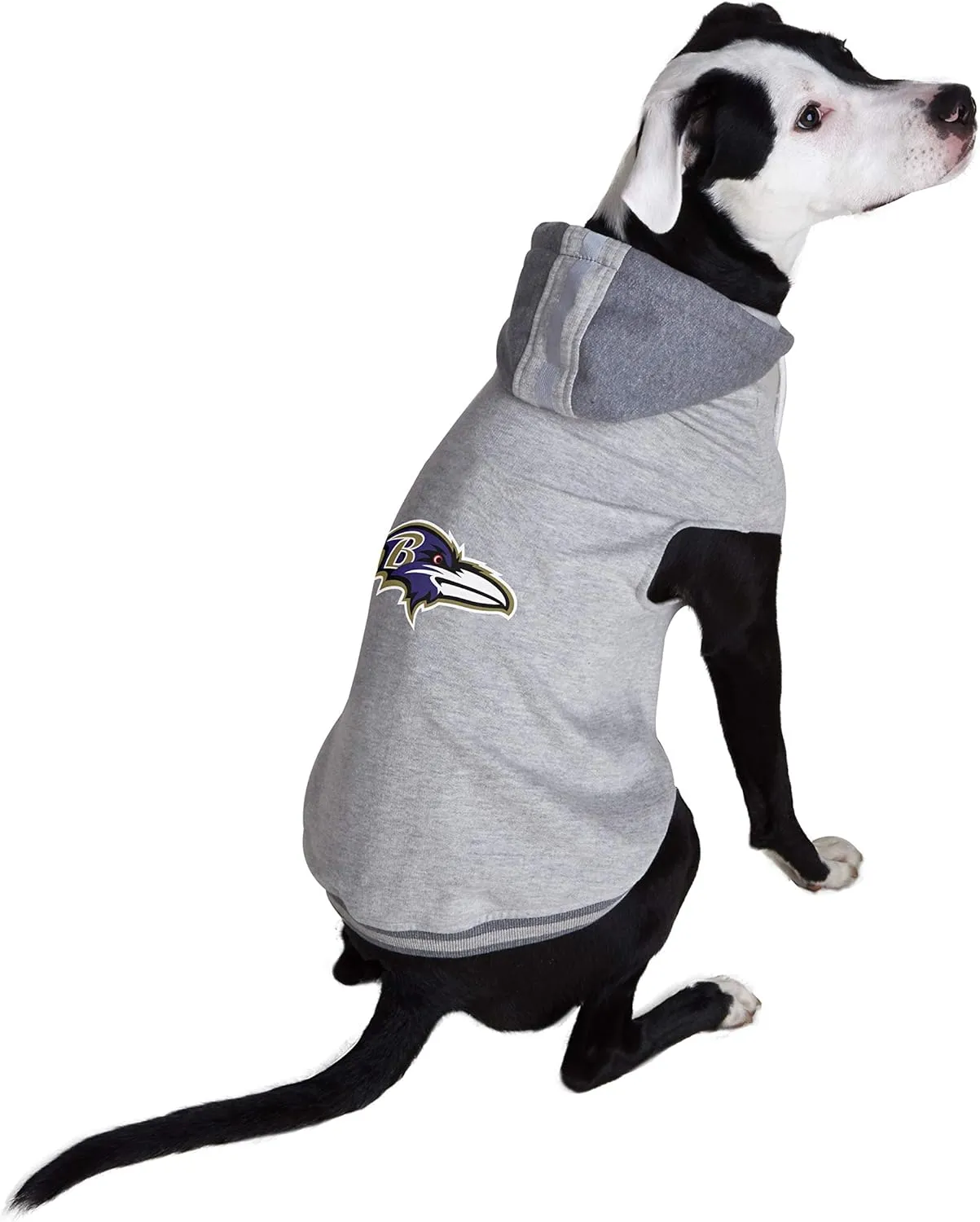 NFL Green Bay Packers Team Dog Sweatshirt