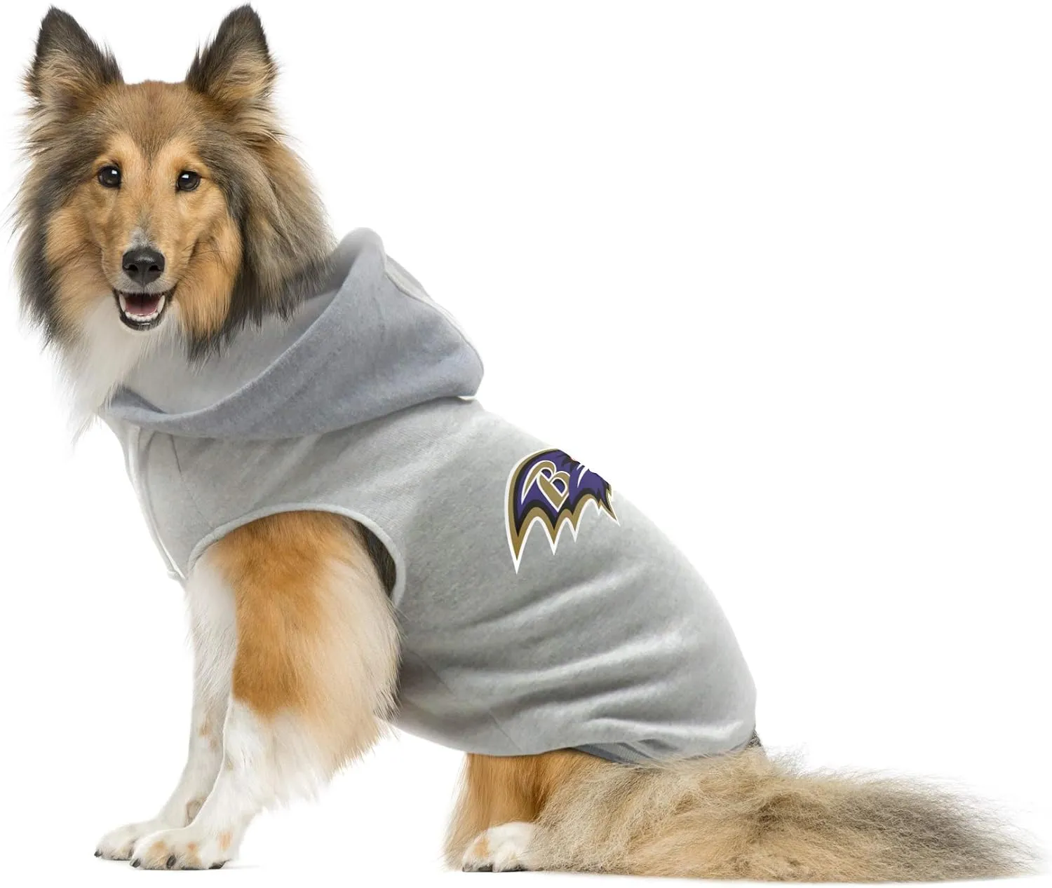 NFL Green Bay Packers Team Dog Sweatshirt