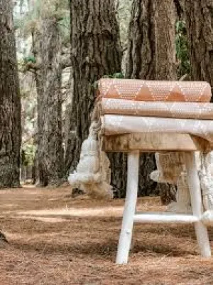 Nomad & Co Canvas Picnic Blanket