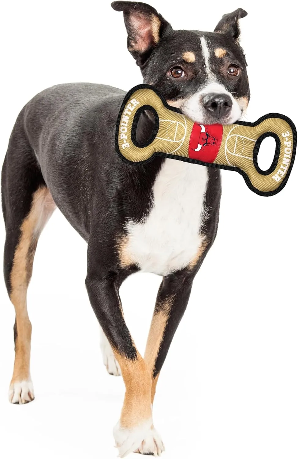 Pets First BUL-3030 Chicago Bulls Field Toy