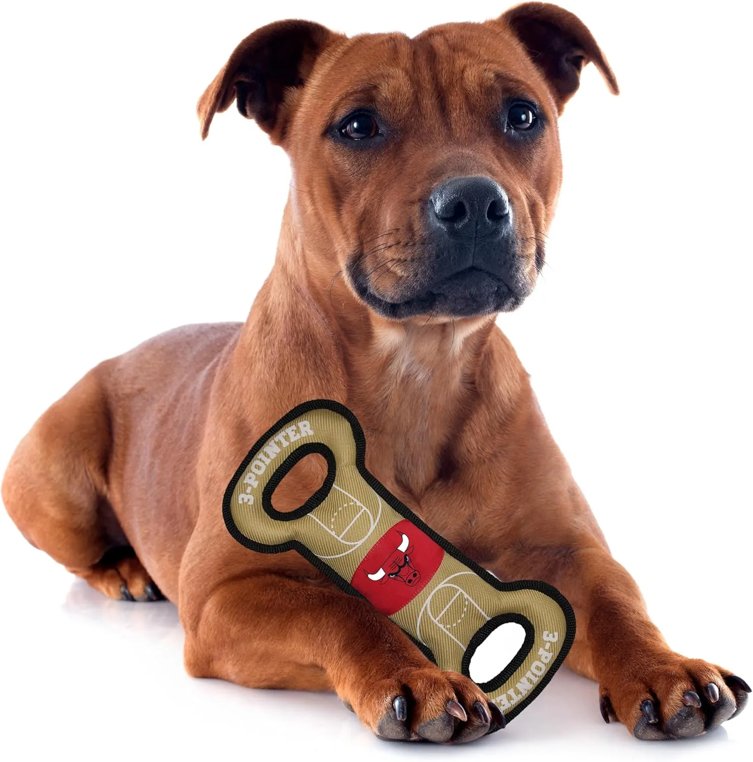 Pets First BUL-3030 Chicago Bulls Field Toy