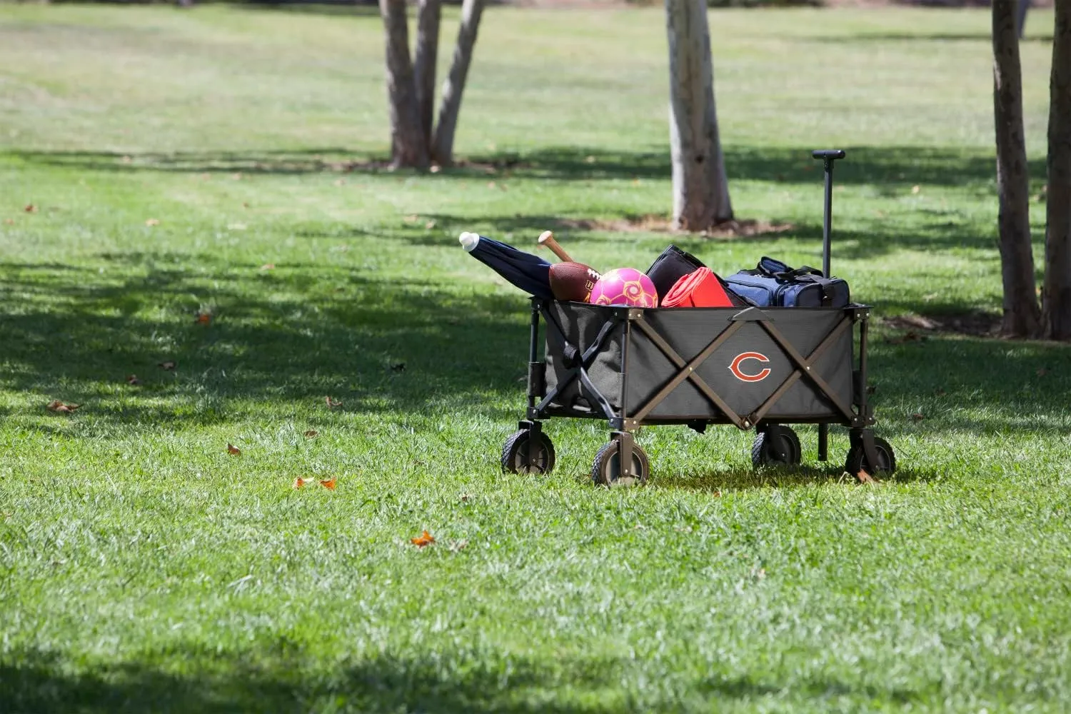 Picnic Time NFL Adventure Wagon