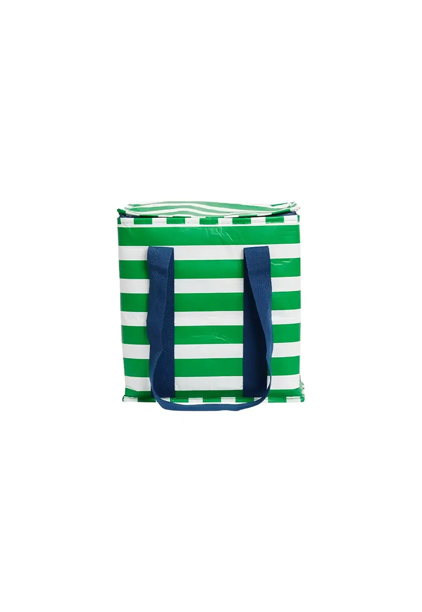 project ten - insulated tote