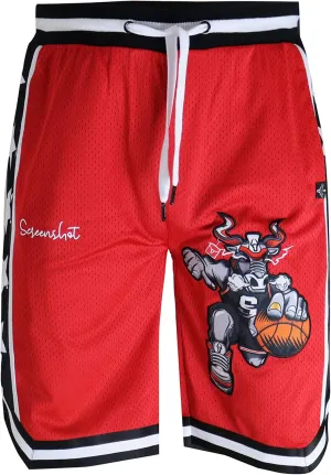 SCREENSHOT Mens Premium Urban Sreetwear Fashion Basketball Mesh Shorts - Athletic Sports Team Color 11" Inseam Jersey Shorts