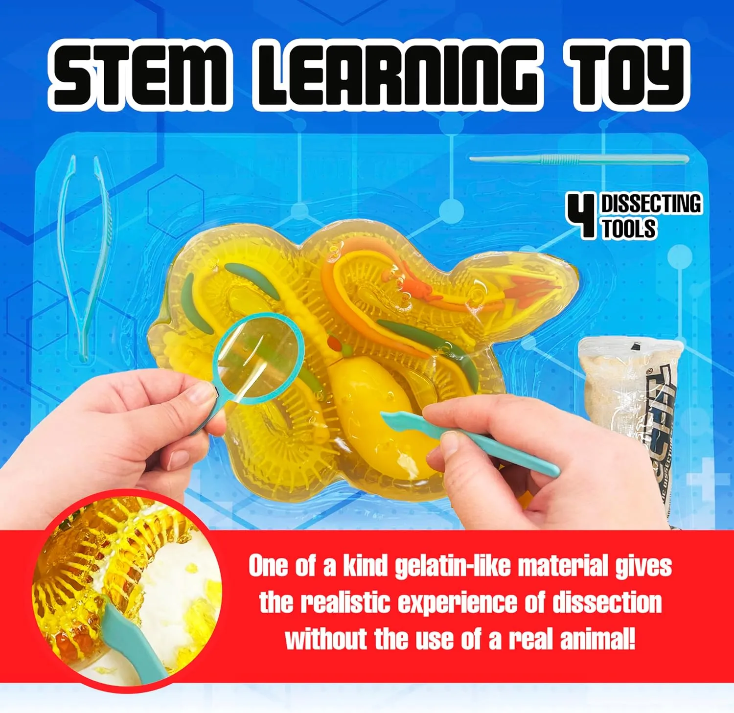 Top Secret Toys Rattlesnake Super Lab Dissect It Kit for Kids, Synthetic Dissection Kids Science Kit to Learn Biology, STEM Toys for 6 Year Old and Up