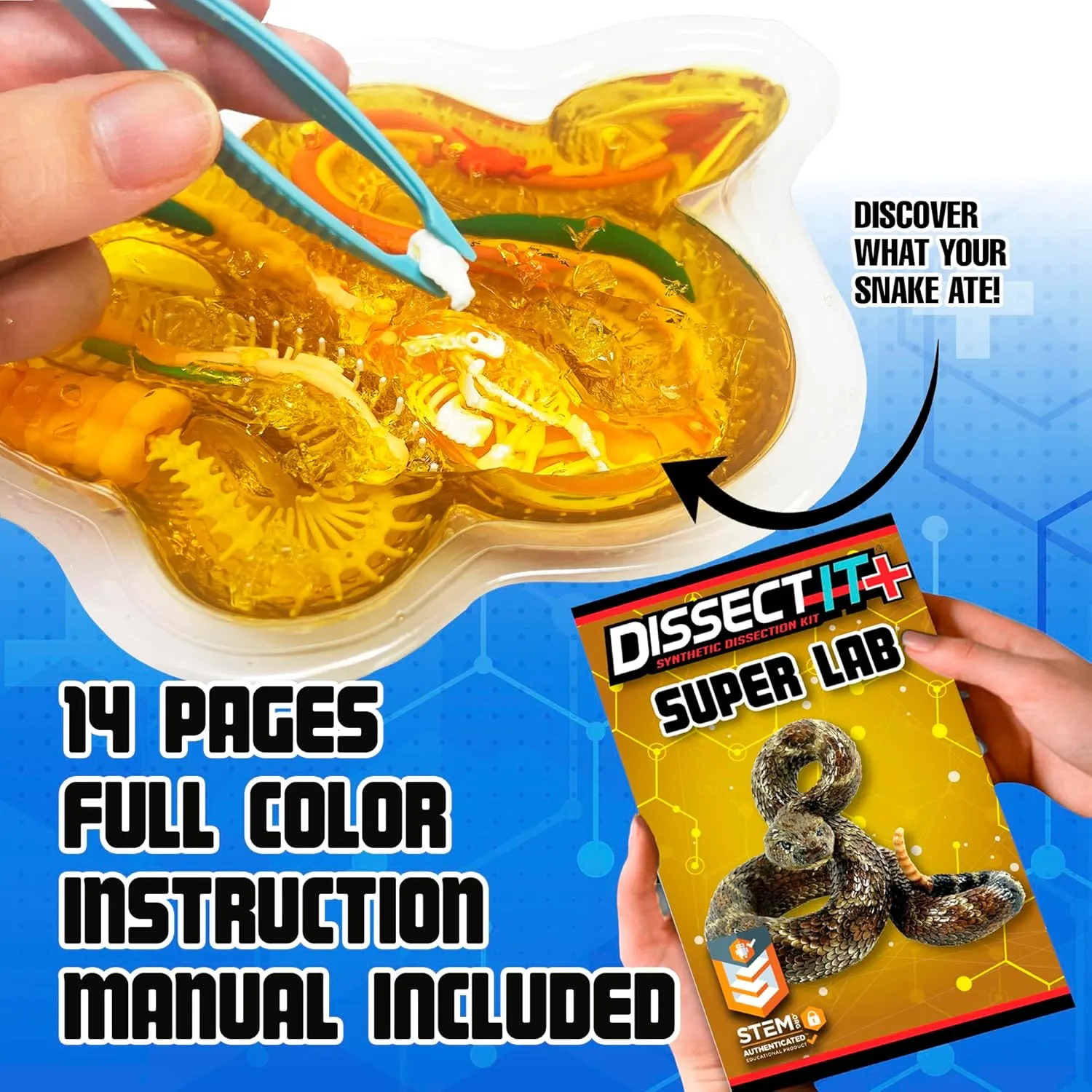 Top Secret Toys Rattlesnake Super Lab Dissect It Kit for Kids, Synthetic Dissection Kids Science Kit to Learn Biology, STEM Toys for 6 Year Old and Up