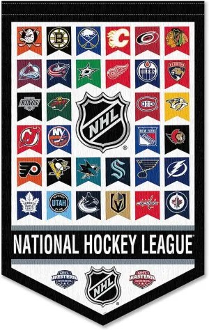 WinCraft Hockey League All Teams Pennant Banner