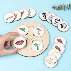 Wooden Life Cycle Toy Tray for Kids, Learning & Educational Toys Puzzles for Toddler, Montessori Homeschool Preschool Science Learning Activities Toys for Age 3 4 5 6 7 8 